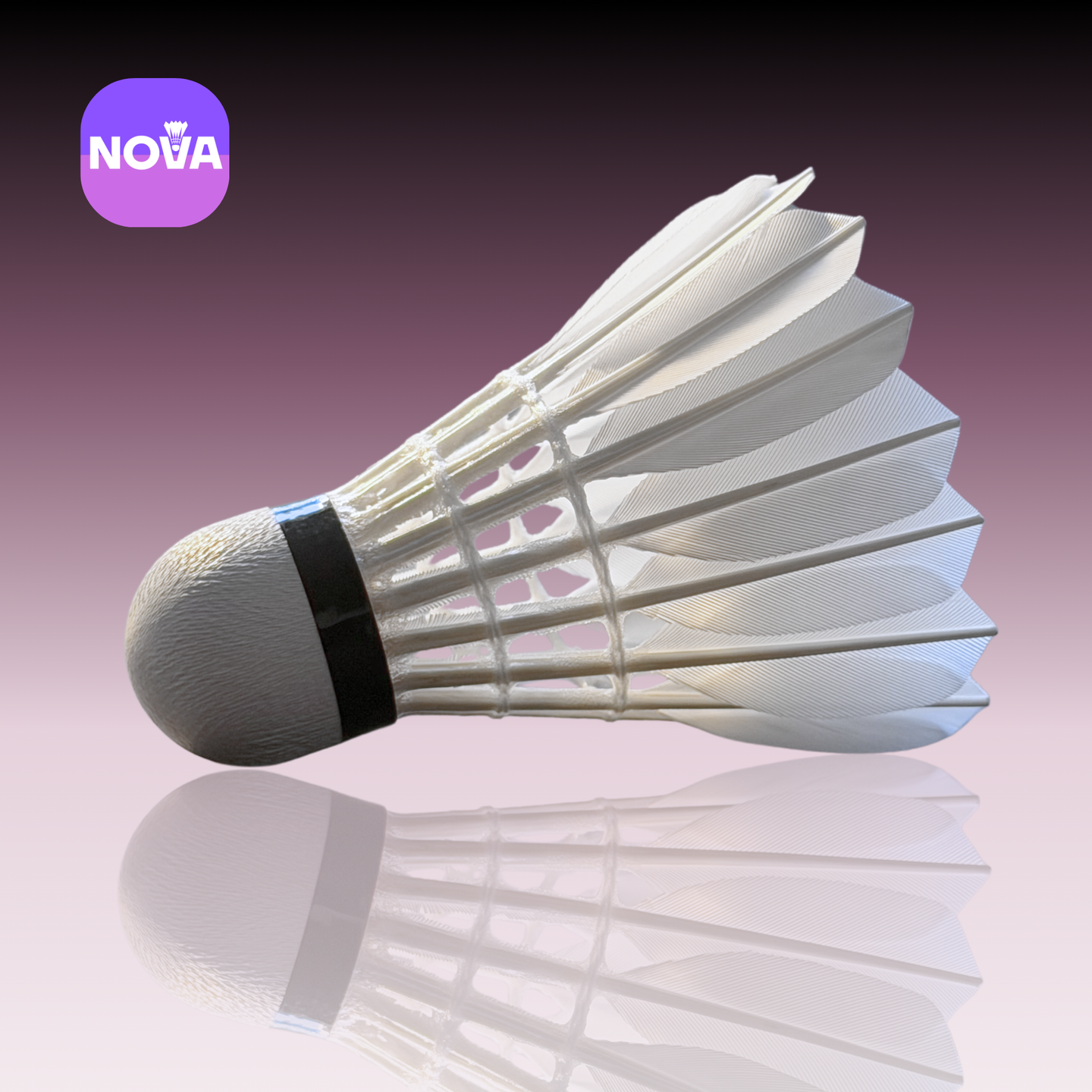 SUPERNOVA™ Celeste 1 - 12 Goose Feather Shuttlecocks